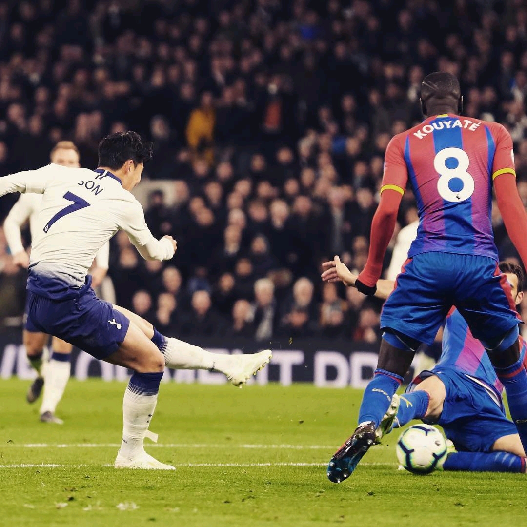 两分或造犯 两分或造犯